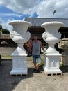 A pair of capital marble vases on stands